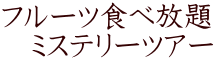 ե롼Ŀ ߥƥ꡼ĥ